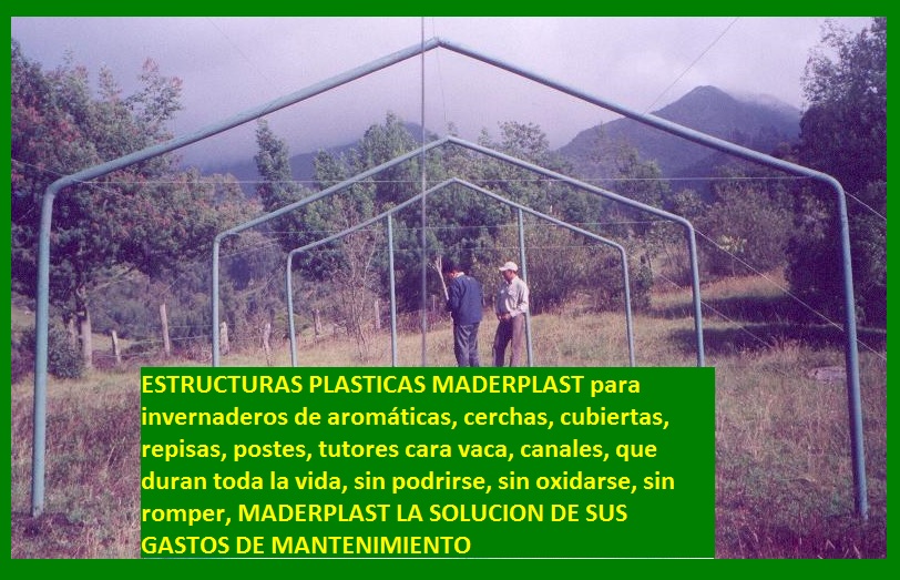 Invernadero para aromáticas en estructura de madera plástica maderplast invernaderos maderas inmunizadas tratadas invernaderos plantas yerbas aromáticas maderas estructurales de invernadero 000 Invernadero para aromáticas en estructura de madera plástica maderplast invernaderos maderas inmunizadas tratadas invernaderos plantas yerbas aromáticas maderas estructurales de invernadero 000